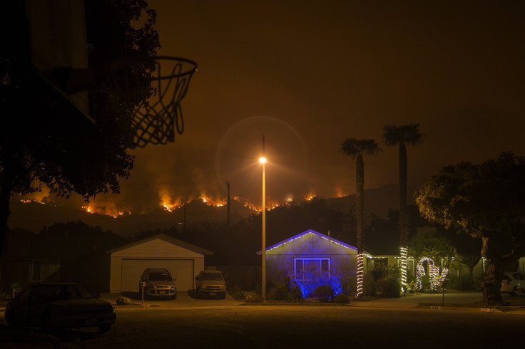 Cali THomas Fire