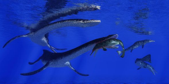 Oldest Plesiosaur Species Didn't Swim But Used 'Underwater Flight' Like ...