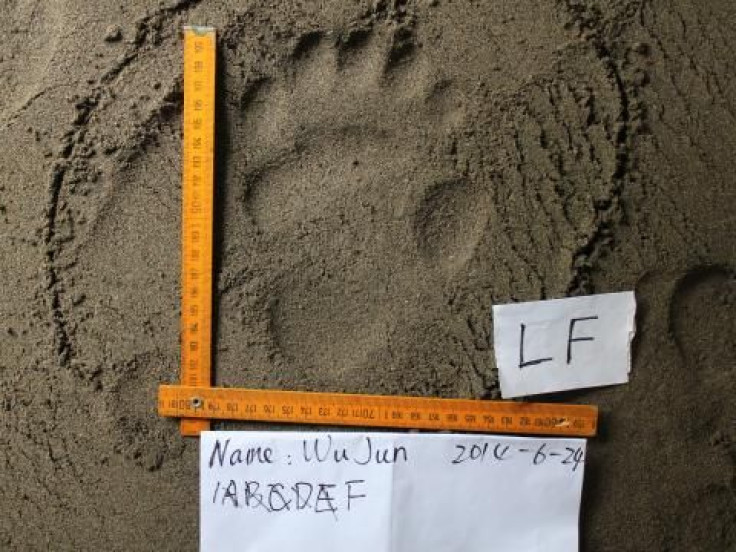 panda-footprint2