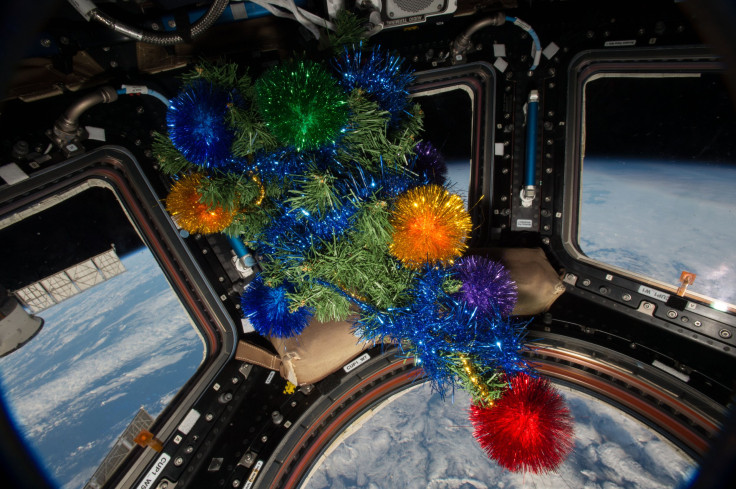 tree in cupola on iss