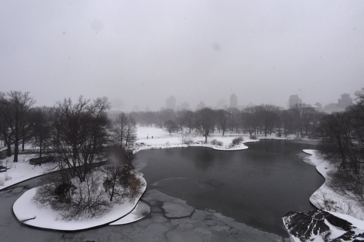 frozen pond