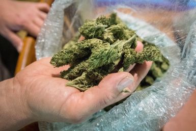 California Cannabis legalization 