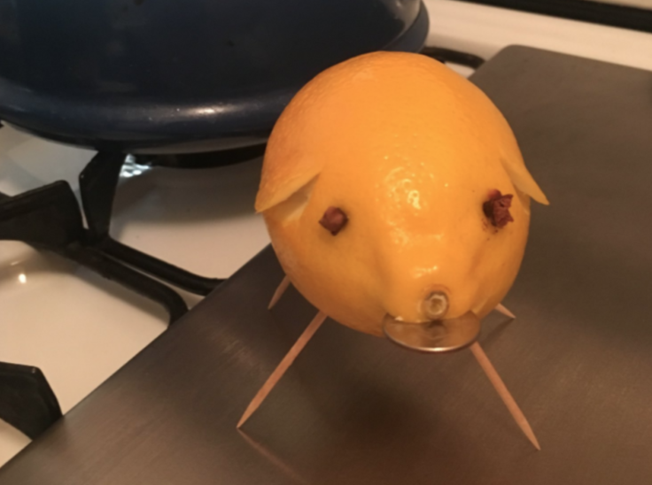 Lemon Pig 2