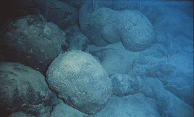 Pillow Lava Rocks