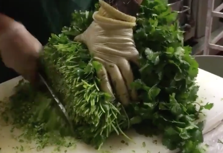 Cilantro Video