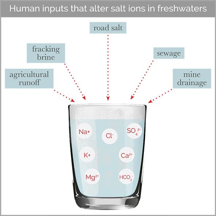 Salts in Freshwater