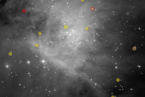 brown dwarf orion nebula