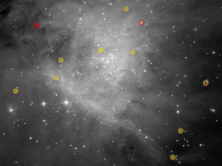 brown dwarf orion nebula