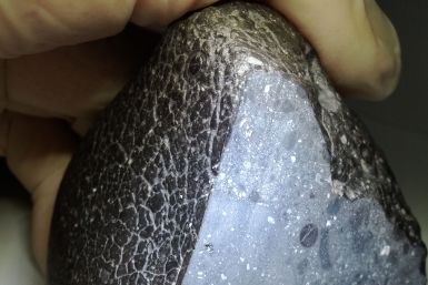 angrite-meteorite