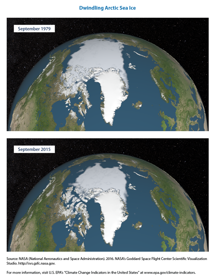 arctic sea ice melt map