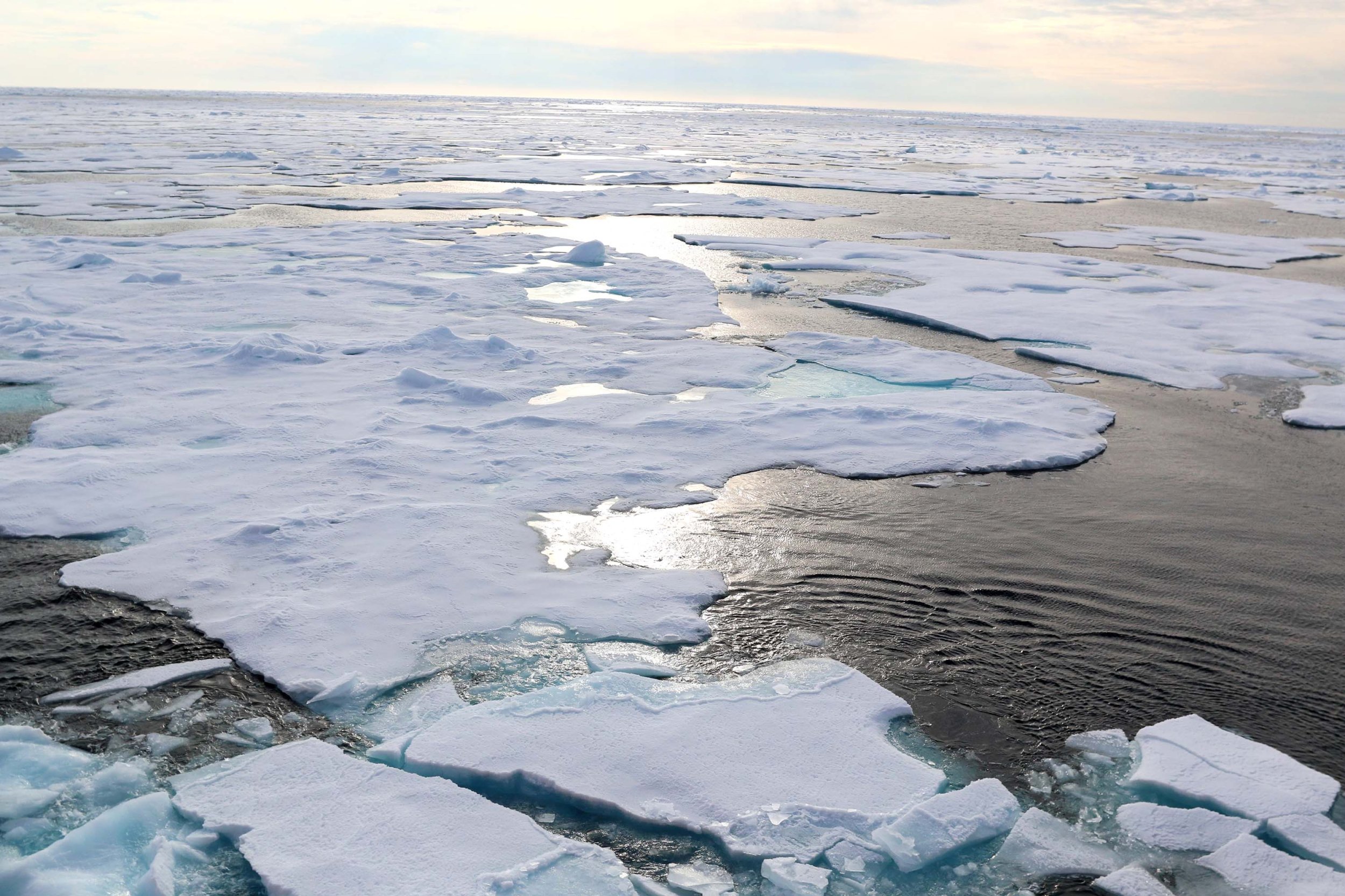 Russian Navy Boat Sinks In The Arctic Following Walrus Attack | IBTimes