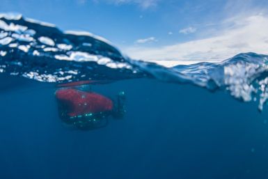 greenpeace submarine photo 