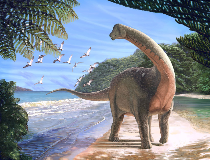 Mansourasaurus Shahinae