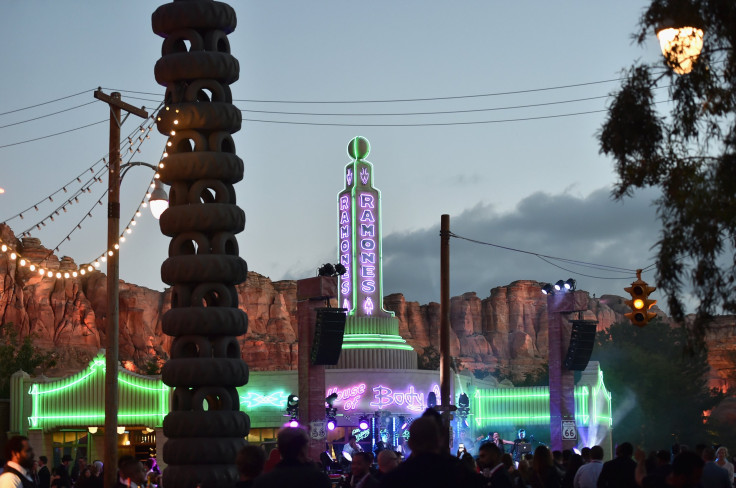 Disney Theme Park