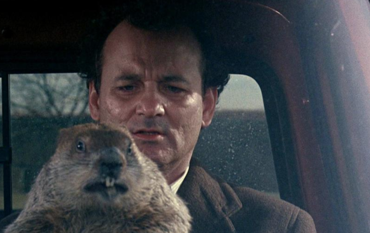 groundhog day