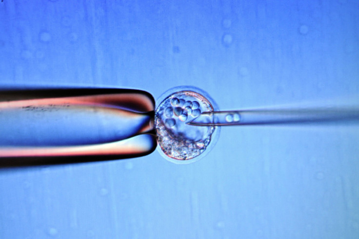 embryo-ivf