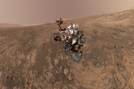 mars rover photobomb