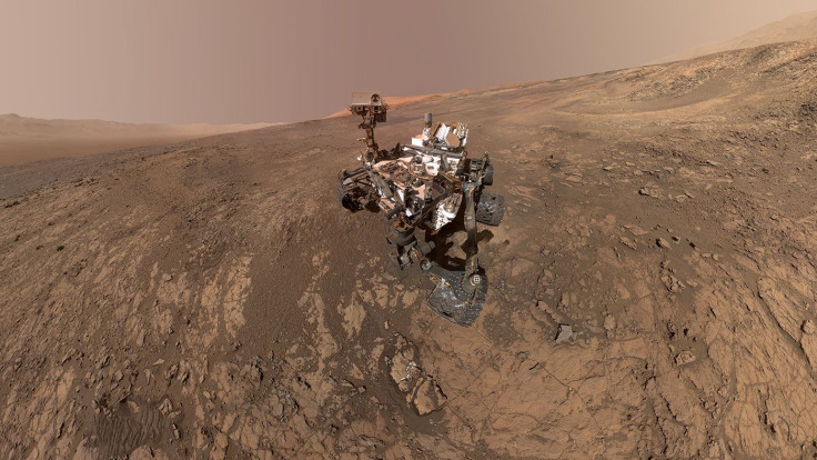 mars rover photobomb