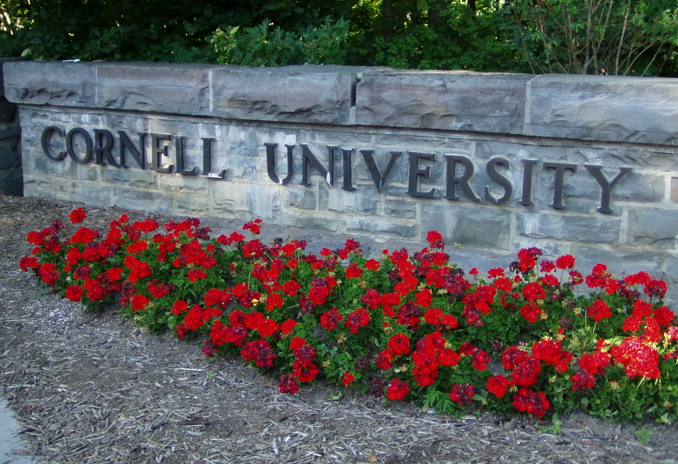 Cornell