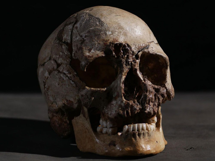Skull kept on a mantle turns out to be remains from a Tennessee man missing since 2012.