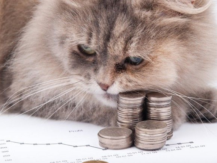 cat-and-coins_large