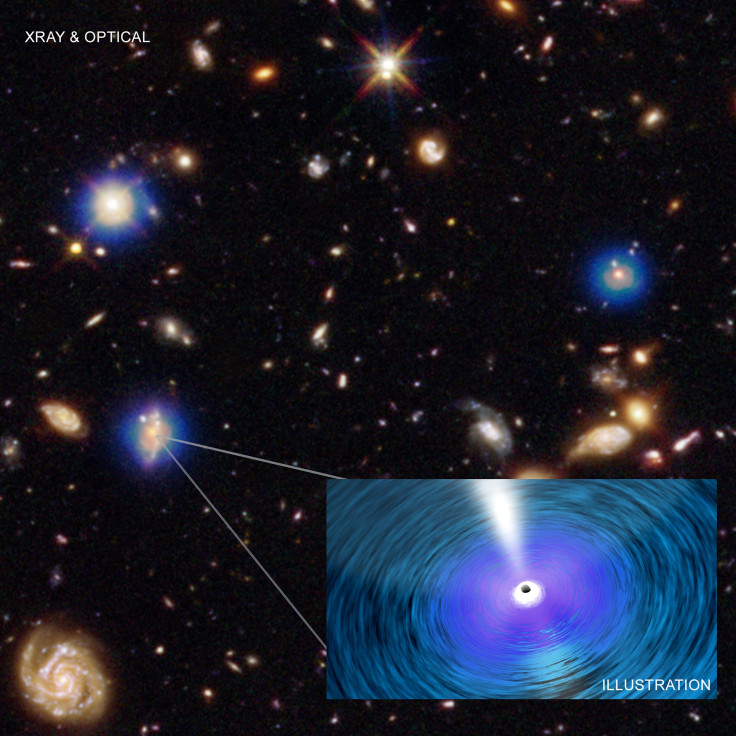 Chanda Deep Field Black Holes