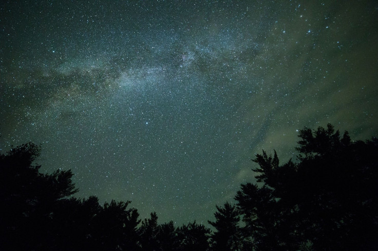 milky-way-stars-trees