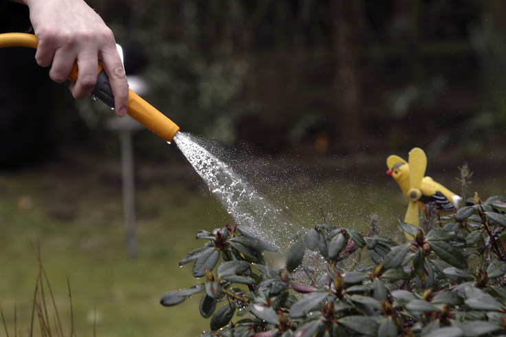 Garden hose