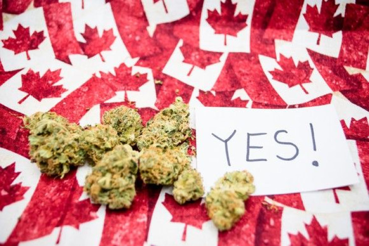 marijuana-cannabis-weed-pot-canada-legalize-buds-getty_large