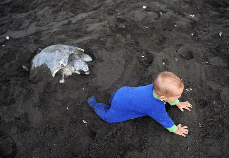 baby crawling