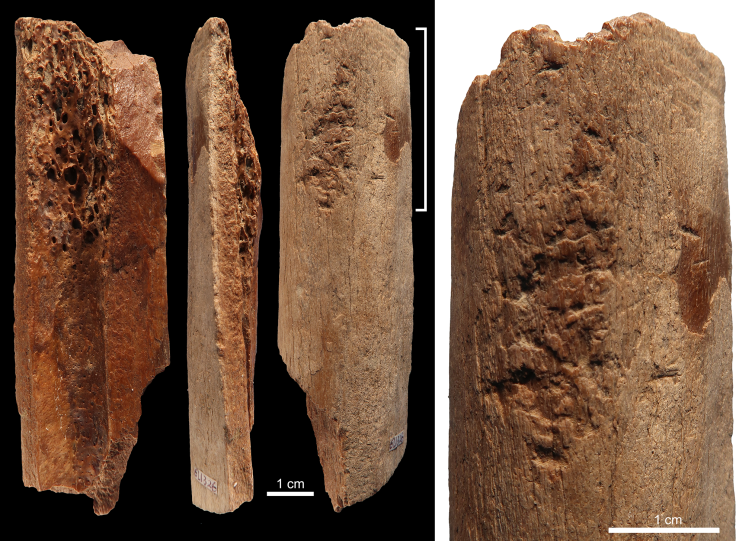Prehistoric bone tools China 1