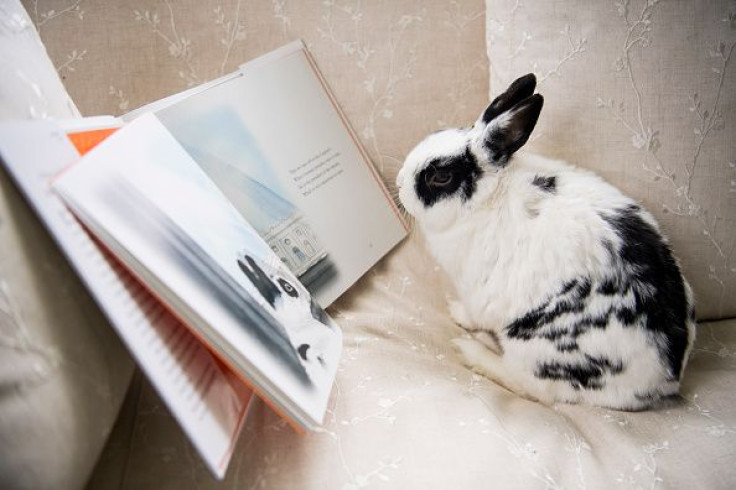 Marlon Bundo