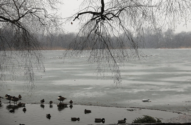 Prospect park, Brooklyn 