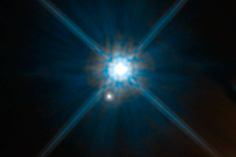 White Dwarf Star Stein 2051 B