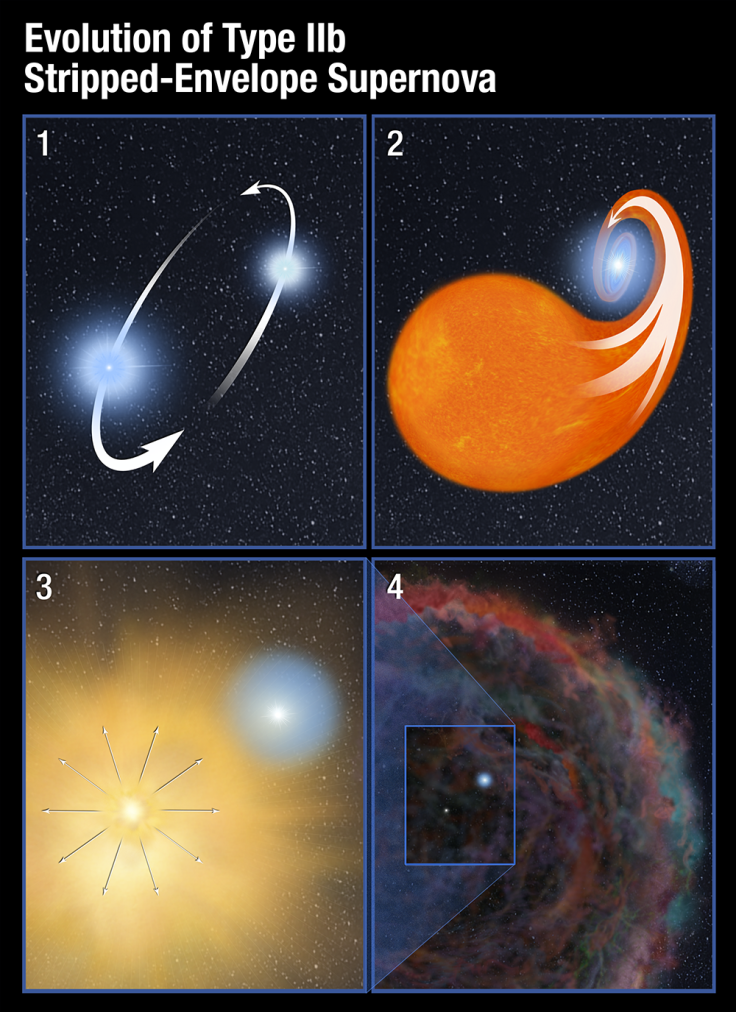 Type IIb Stripped-Envelope Supernova