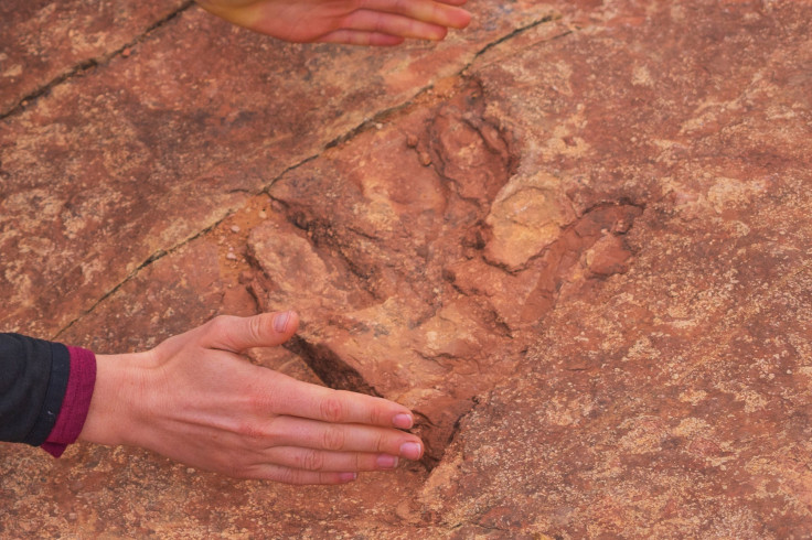 Dinosaur Footprint