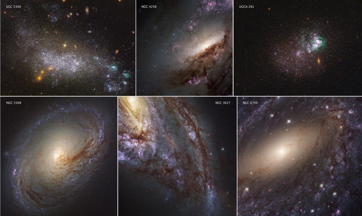 Star forming regions