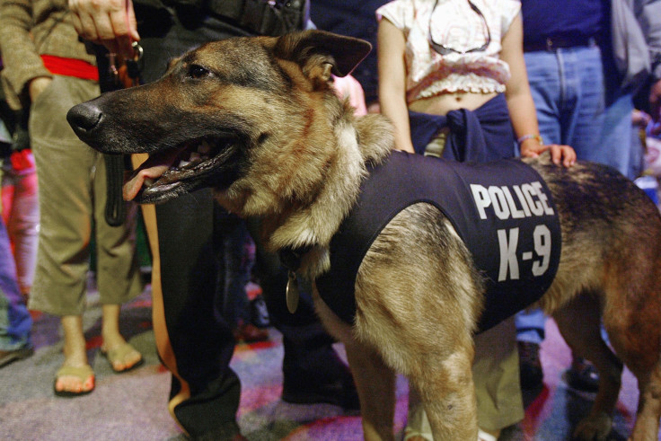 police dog 