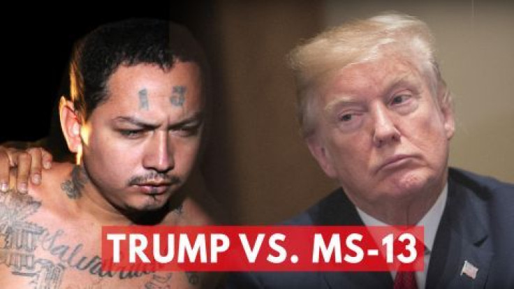 Donald Trump talks tough on MS-13