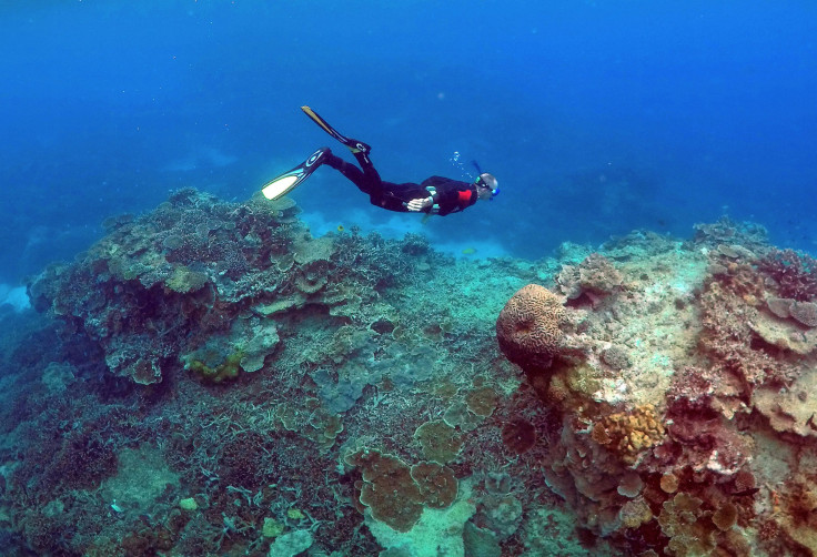 Great barrier reef