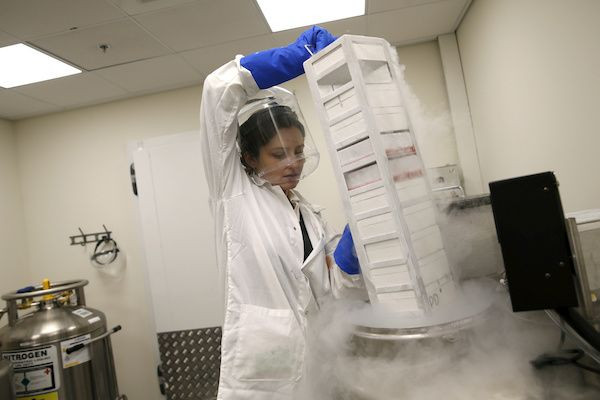 Scientist