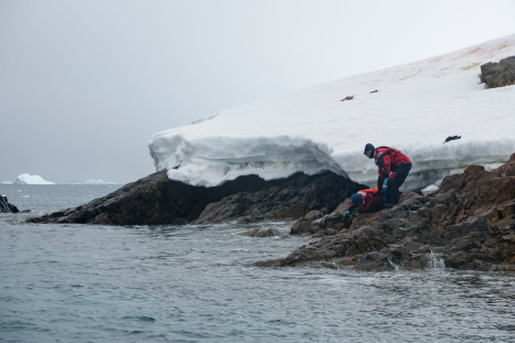 Water Sampling in the Antarctic