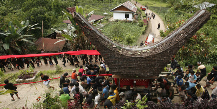 toraja