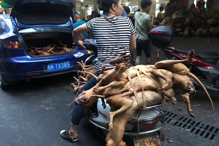 yulin dog festival 