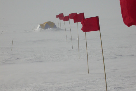 Antarctica-image-2 (1)