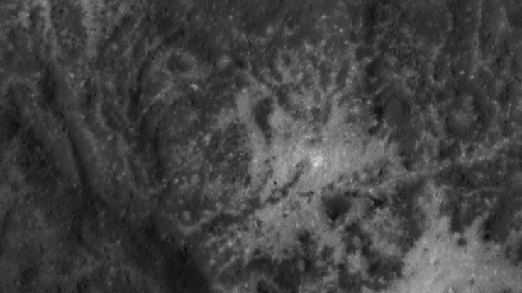 Vinalia Faculae in Occator Crater