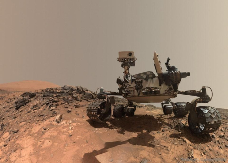 Selfie_Curiosity_960