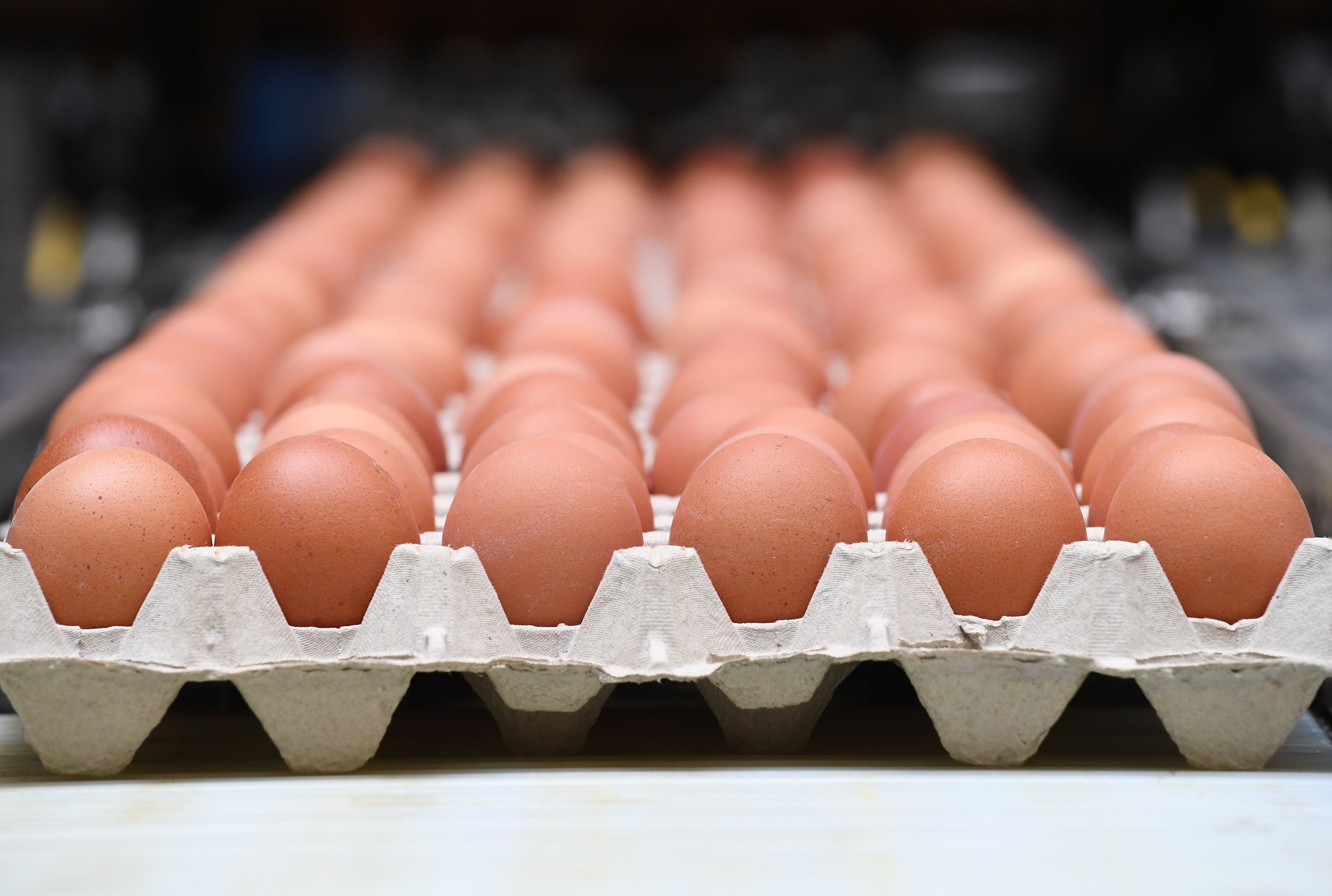 Egg Recall 2019 88 Egg Products Recalled From Kroger, Giant Eagle