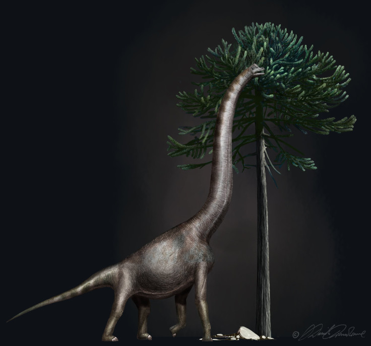 Brachiosaur