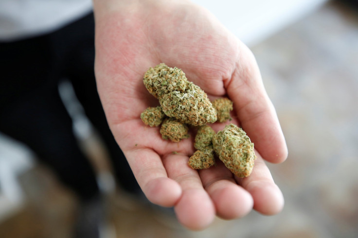 Marijuana Buds